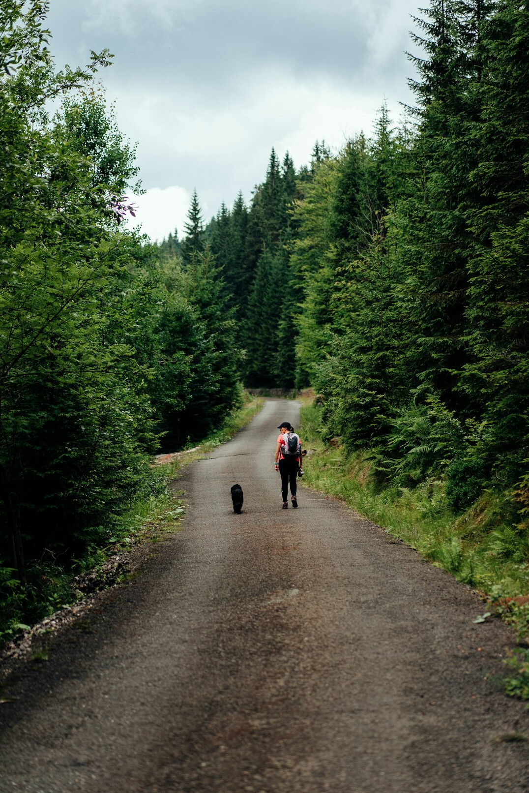 polish mountains trail