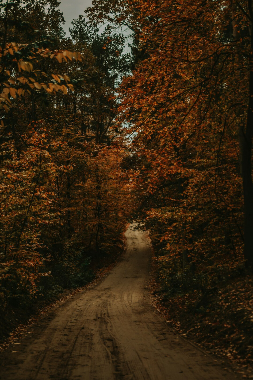 hidden polish village path